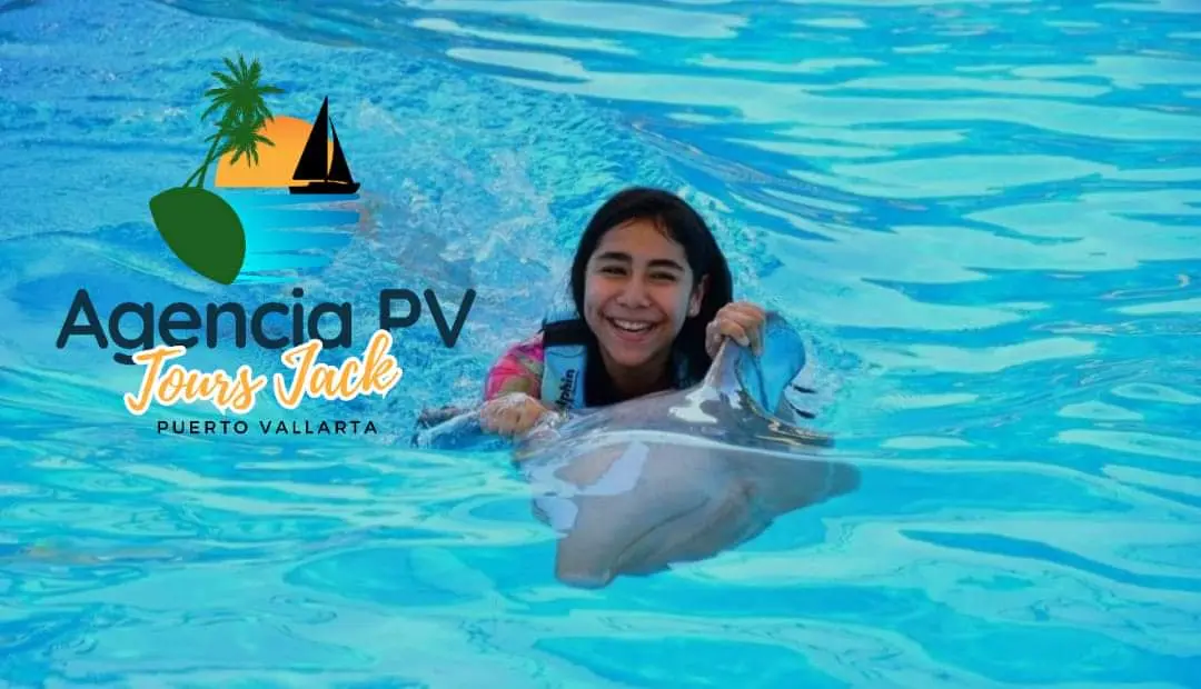 Dolphin Swim Adventure